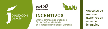 Diputacion de Jaen